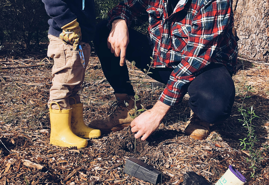 Vater pflanzt mit einem Kind einen Baum
