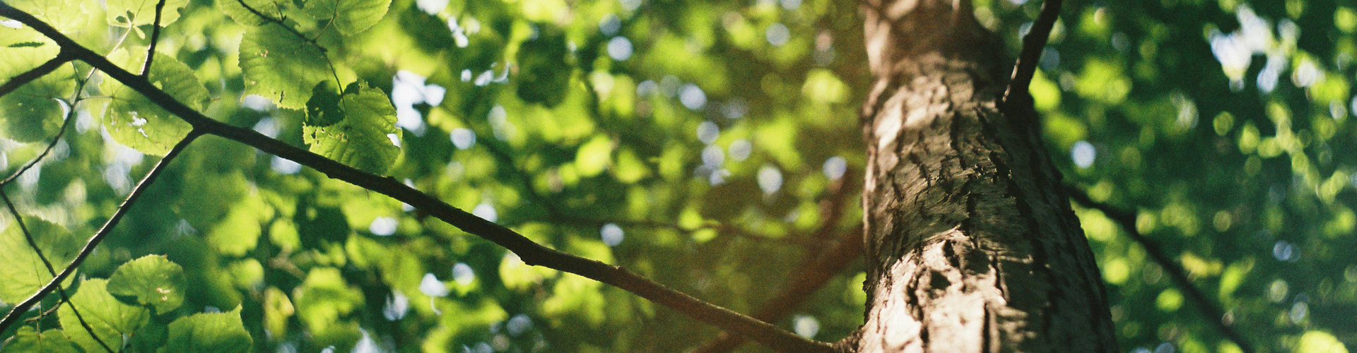 Vorgarten unseres Vereinshauses